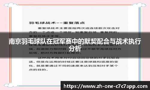 南京羽毛球队在冠军赛中的默契配合与战术执行分析